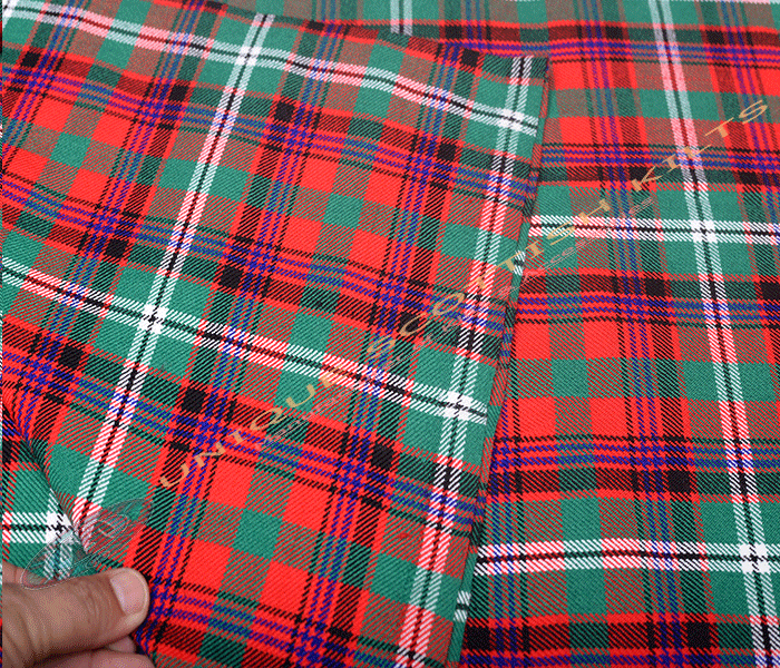 Maguire-Tartan Fabric - Running Yards - 16 Oz Weight, 54 inches Width - Image 2