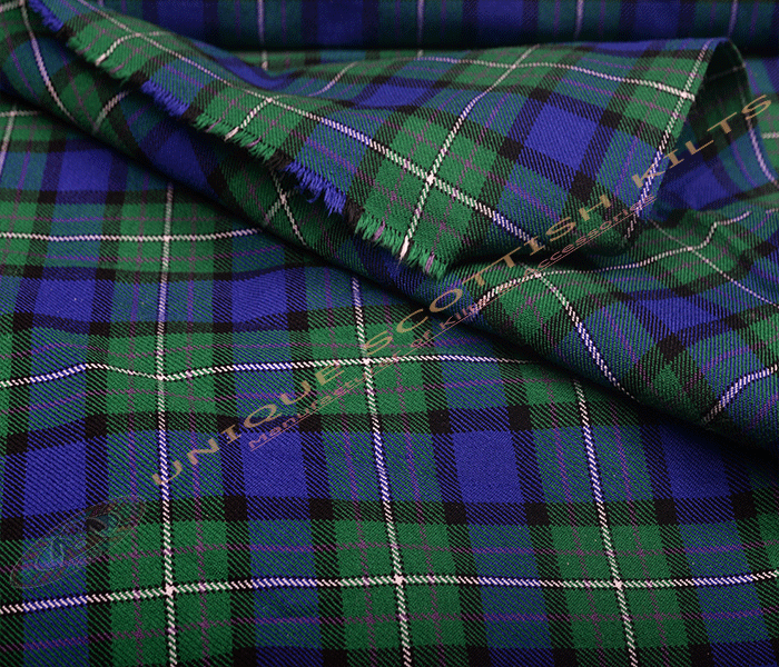 Alexander Tartan 8 Yard Kilt - Image 4